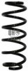 JP GROUP 1142209409 Coil Spring